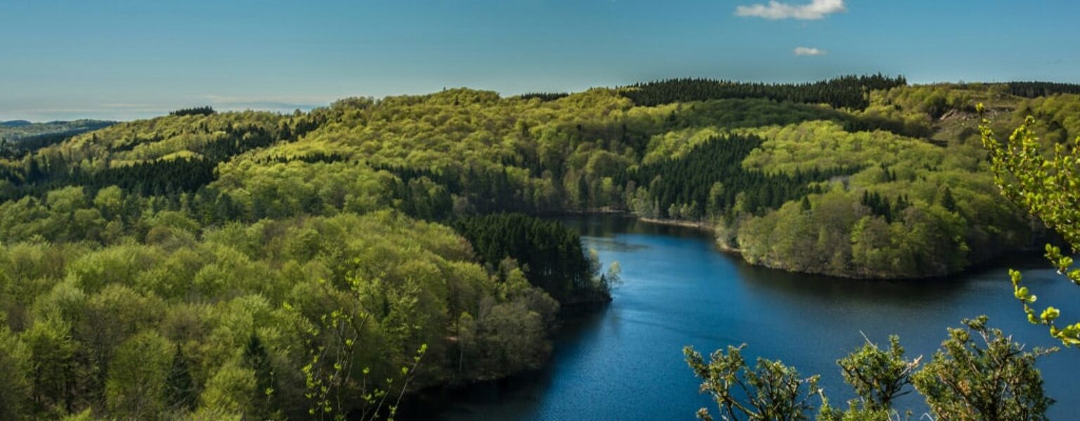 Healthy forest and river showing reduced environmental impact