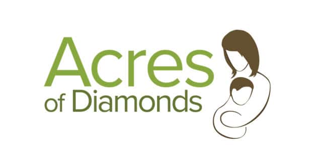 Shauna Lane – Acres of Diamonds – Case Study