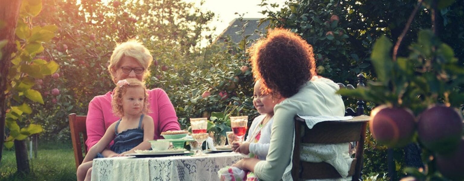 Healthy family on a picnic